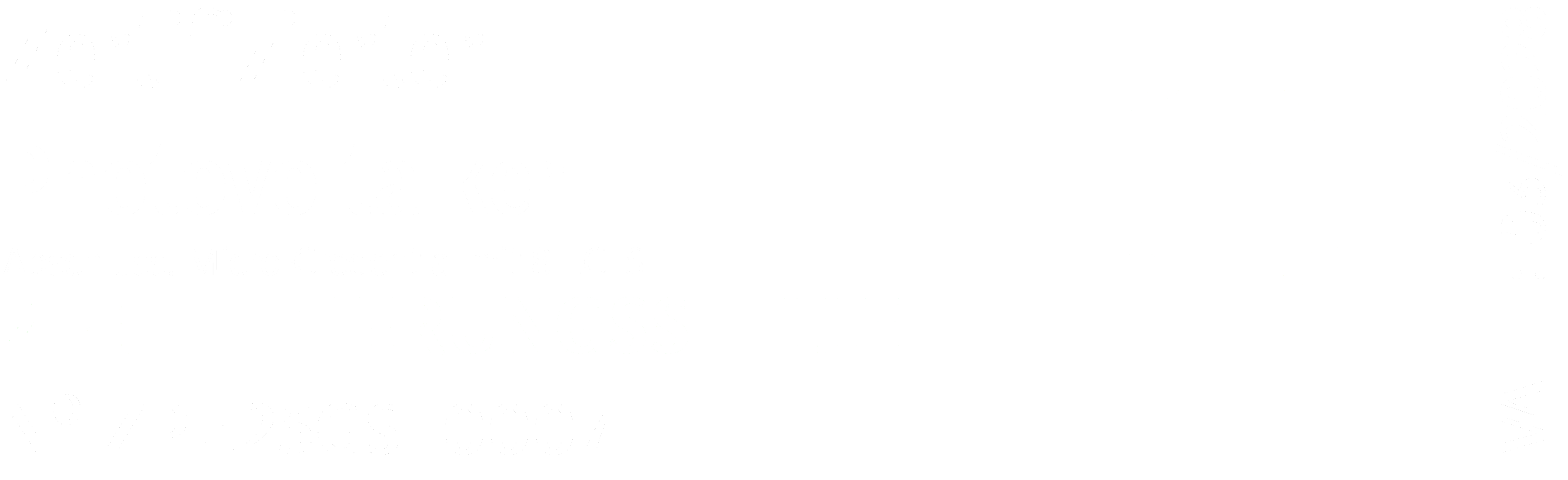 ZPH Logo Sock 2025 weiss